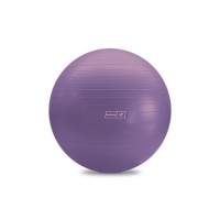 Bodyworx  4ASA059-55P Purple Gym Ball (55cm)